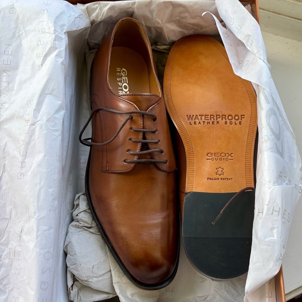 New in Box, Geox Men's Tan Leather Oxfords